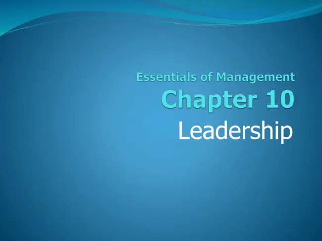 Leadership in Management Course : 管理课程领导力