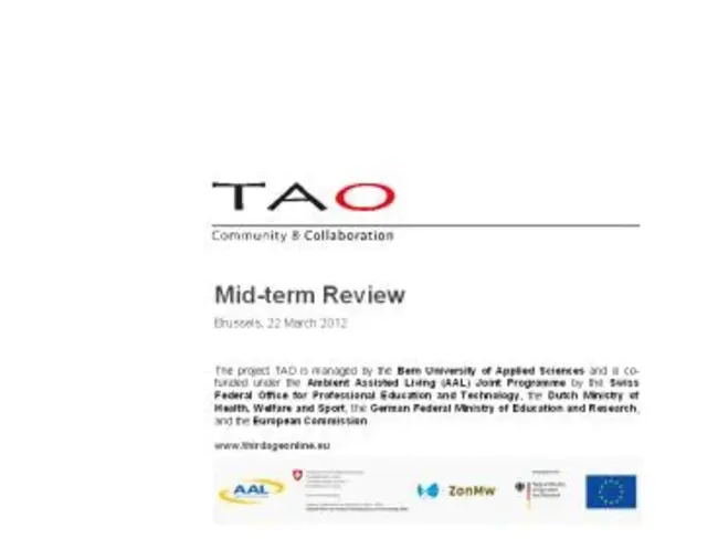 Mid-Term Review : 中期审查