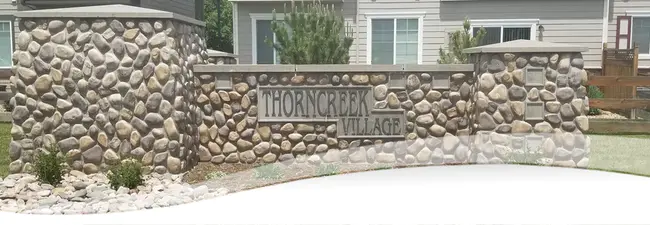 Thorncreek Township Fire Department : 桑克里克镇消防局