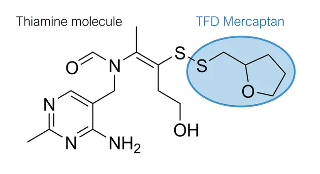 Thiamine TetraHydrofurfuryl Disulfide : 硫胺四氢糠基二硫化物