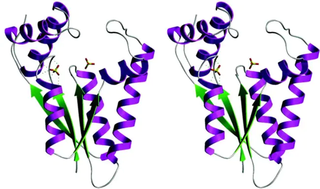Ligand of EPH-Related Kinase : EPH相关激酶配体
