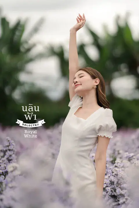 Royal White Lion : 皇家白狮