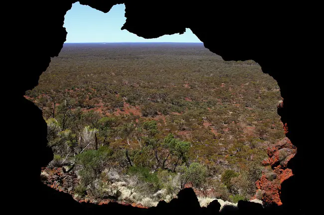 Australian Bird Environment Foundation : 澳大利亚鸟类环境基金会