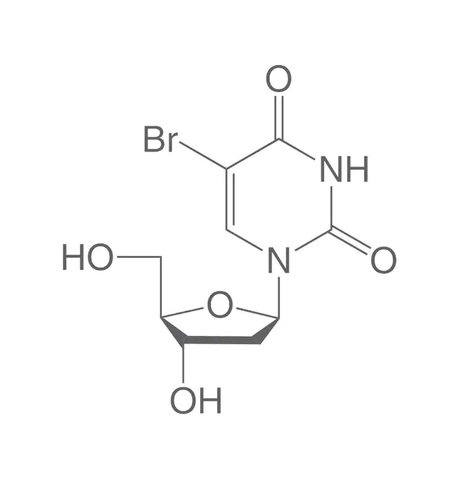 Bromo-Deoxyuridine : 溴脱氧尿苷