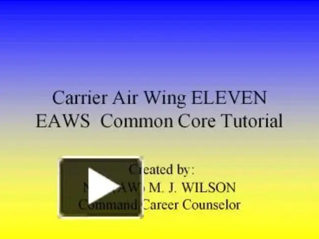 Carrier Air Wing : 舰载航空联队