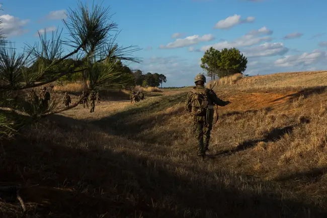 Deployment For Training : 培训部署