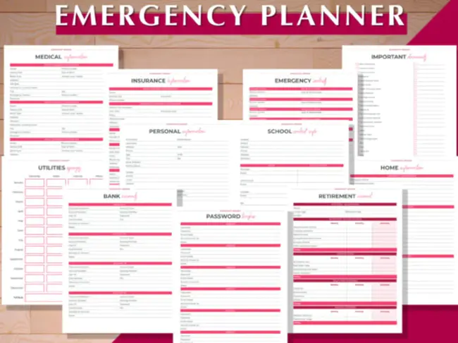 Emergency Planning Handbook : 应急计划手册