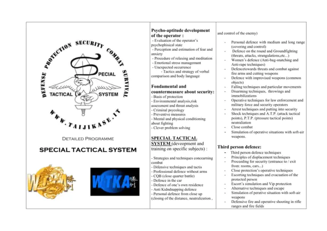 Tactical Psychological Operations Battalion : 战术心理作战营