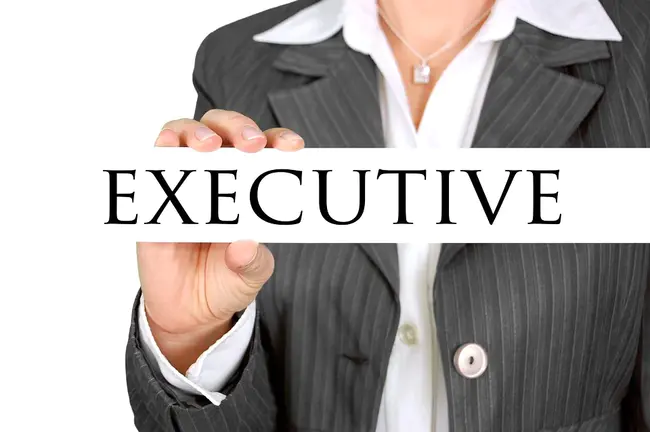 Executive Search Services : 行政搜索服务