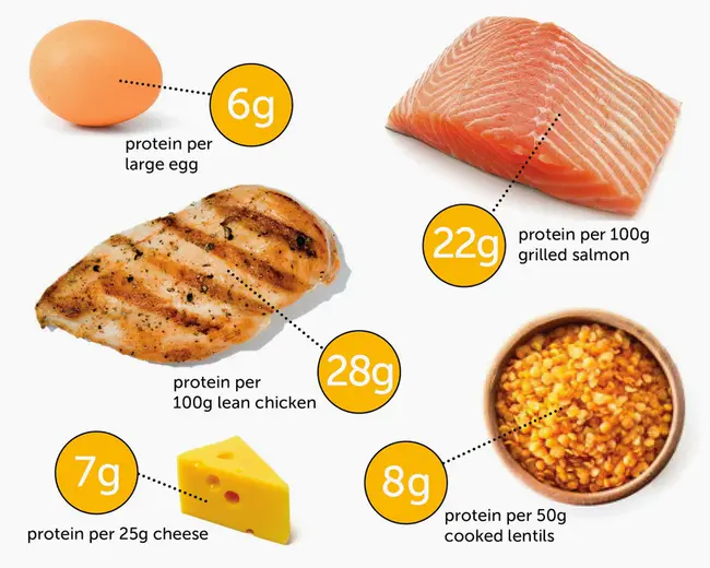 Urine Protein:Creatinine Ratio : 尿蛋白：肌酐比值