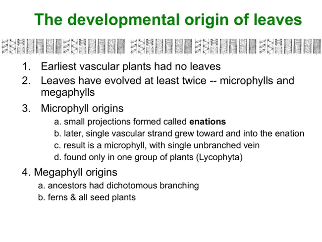 Division of Environmental Biology : 环境生物学处