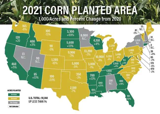 United States Department of Agriculture Forest Service : 美国农业部森林管理局