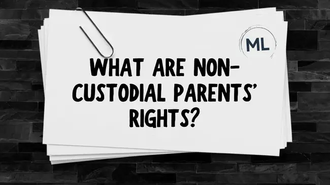 Non-Custodial Parent : 非监护父母