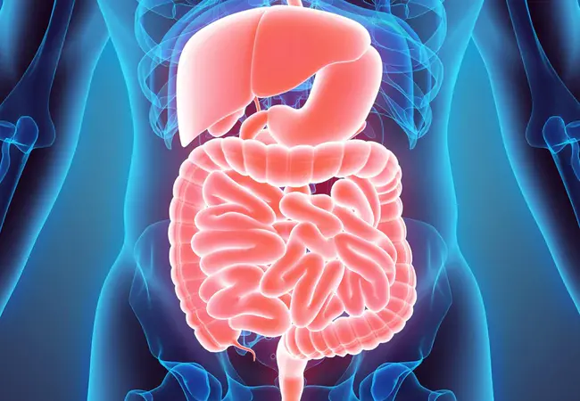 GastroInestinal : 胃肠内的