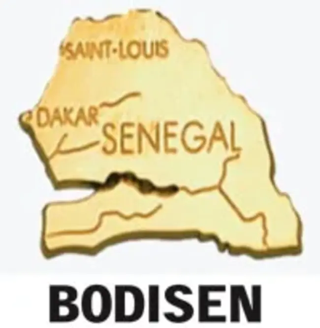 Bodisen : 博迪森