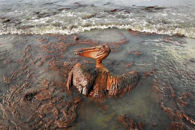 Gulf Keystone : 海湾梯形石