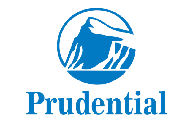 Prudential : 审慎的