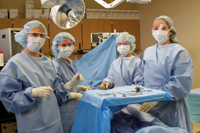 Surgical Innov. : 外科手术