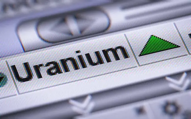 Uranium Focused Energy Fund : 以铀为重点的能源基金