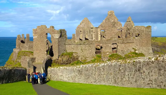 Association of Professional Genealogists in Ireland : 爱尔兰专业家谱学家协会