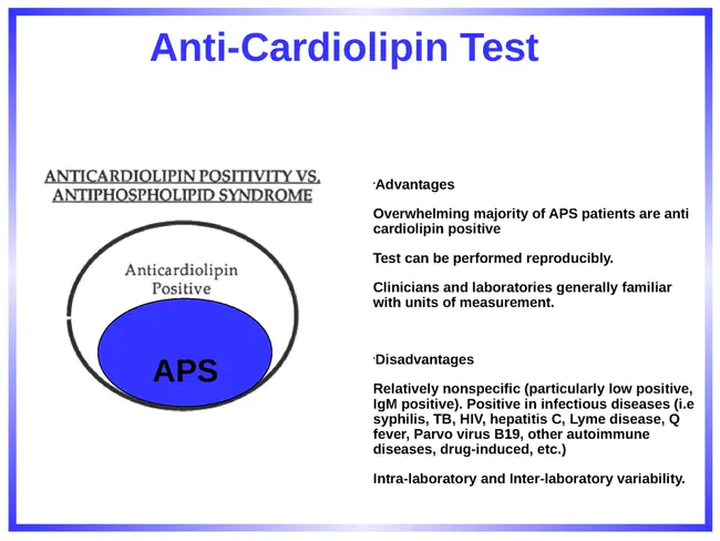 Anti-CardioLipin : 抗心磷脂