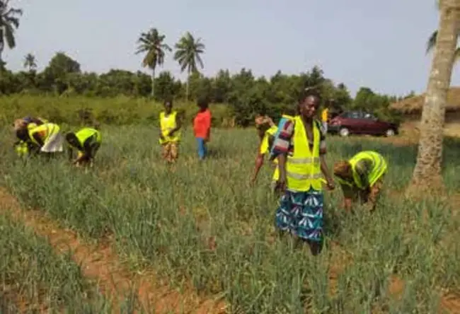 Anie Kolokope, Togo : 多哥，Anie Kolokope