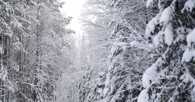 Kemijarvi, S-Finland : 芬兰南部Kemijarvi