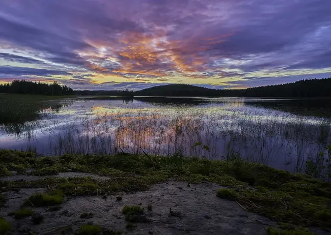 Jyvaeskylae, S-Finland : 于韦斯屈莱, 南芬兰