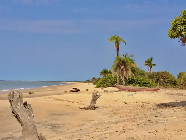 Varela, Guinea Bissau : 几内亚比绍，瓦雷拉