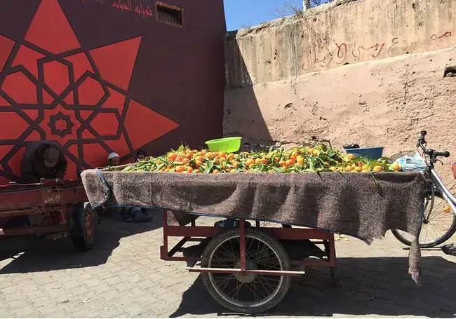 Taroudant, Morocco : 摩洛哥塔鲁丹特