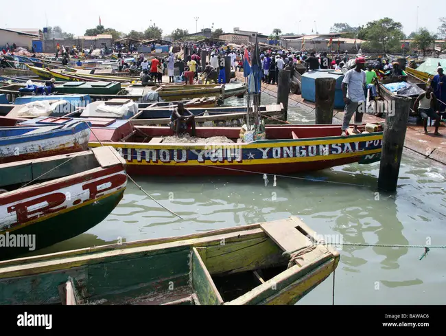 Kamsar-Kawass, Guinea : Kamsar Kawass，几内亚