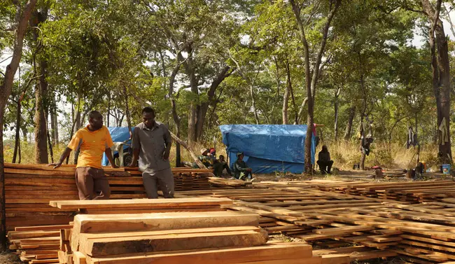 Tunduru, Tanzania : 坦桑尼亚图杜鲁