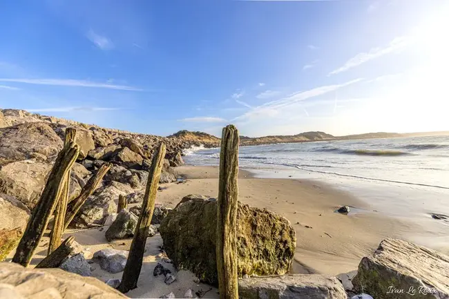 Berck-sur-Mer, S-France : 法国南部Berck Sur-mer