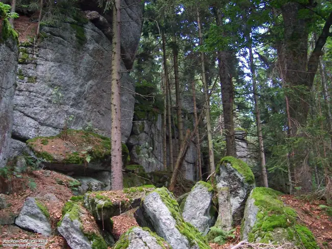 Humenne-Kamenica, S-Slovakia : 斯洛伐克南部胡门讷-卡梅尼察