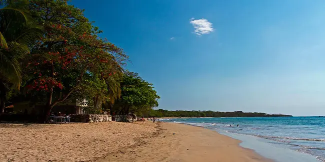 Tamarindo de Santa Cruz, Costa Rica : 哥斯达黎加圣克鲁斯的罗望子