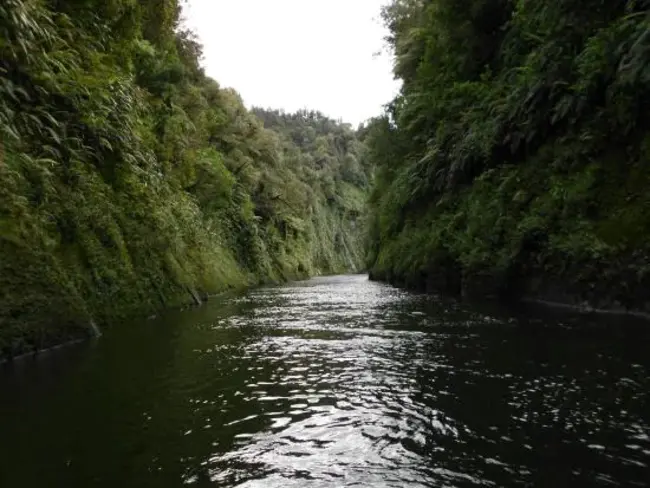 Taumarunui, New Zealand : 新西兰陶马鲁努伊