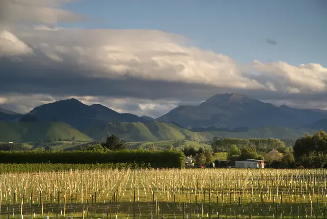 Waimea Estuary Nelson, New Zealand : 新西兰尼尔森威美亚河口