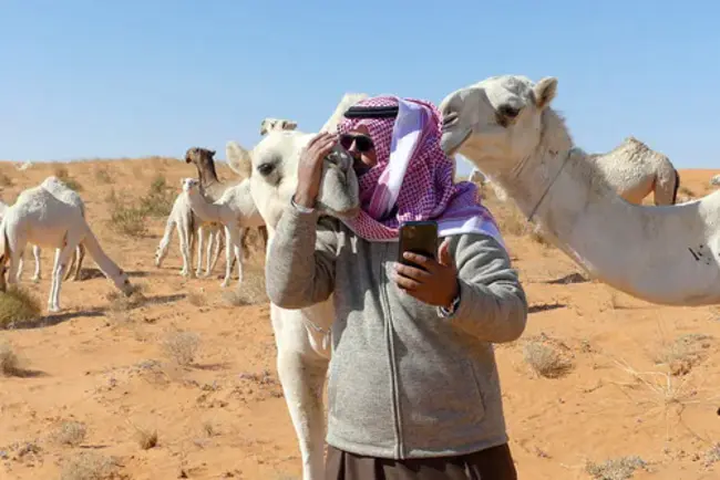 Al-Ghat, Saudi Arabia : 沙特阿拉伯阿尔加特