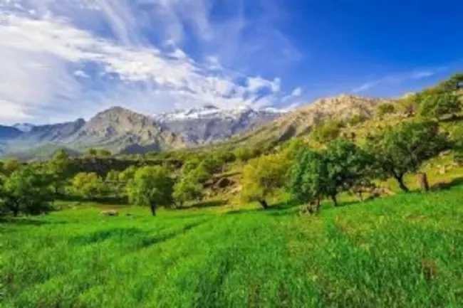 Gachsaran, Iran : 伊朗