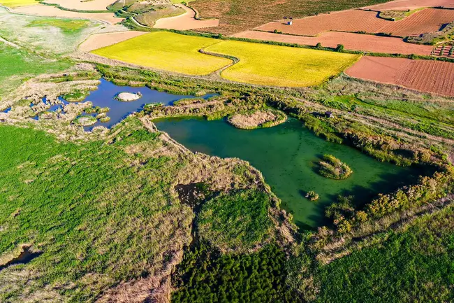 Laguna Larga, Argentina : 阿根廷拉古纳拉加