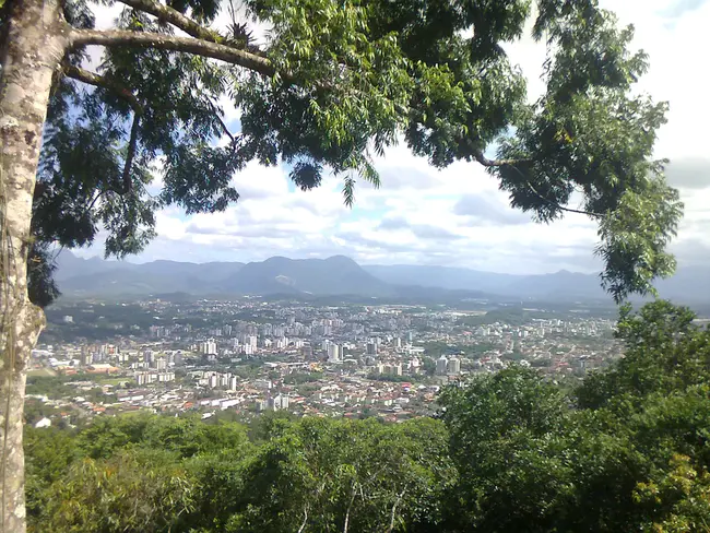 Joinville, Brazil : Joinville，巴西