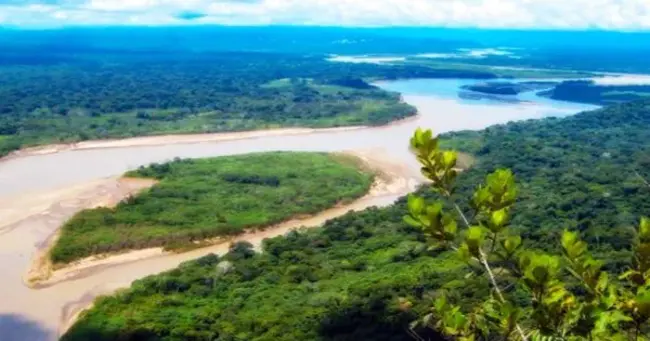 Madidi, Bolivia : Madidi，玻利维亚