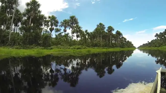 Coronie, Suriname : 科罗尼，苏里南