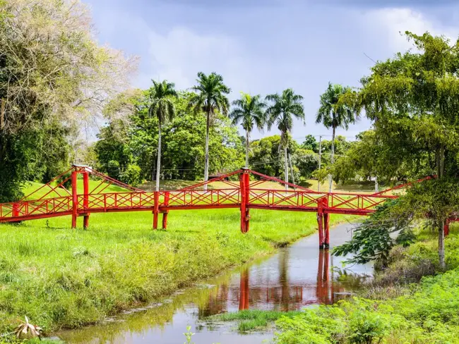 Paloemeu, Suriname : 苏里南帕洛梅