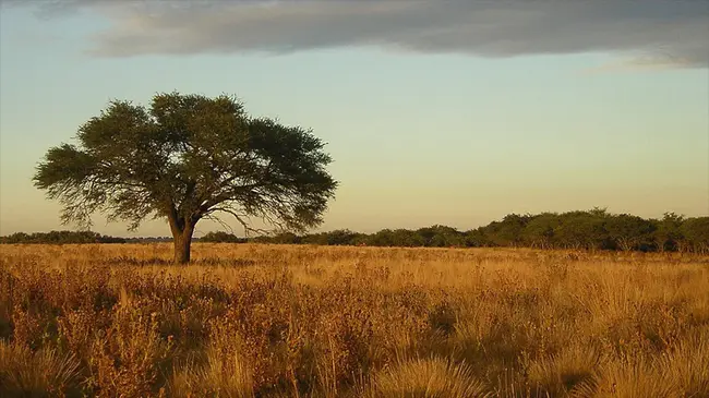 Pampa Hermosa, Peru : 秘鲁Pampa Hermosa