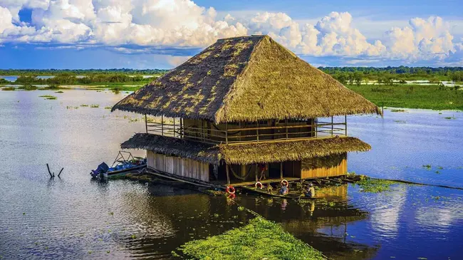 Iquitos Coronel F.S. Vigneta, Peru : 伊基托斯上校 F.S.秘鲁维涅特