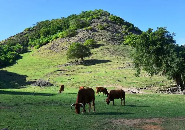 Basse-Terre, Guadeloupe : 瓜德罗普岛巴斯特尔