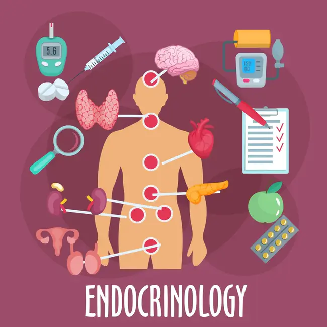 Journal of Diabetes and Endocrinology : 糖尿病与内分泌杂志