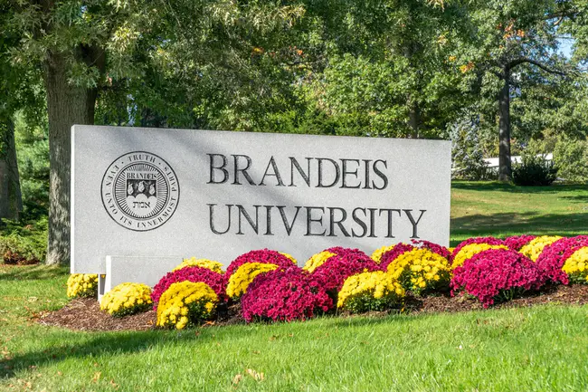 Brandeis University : 布兰代斯大学