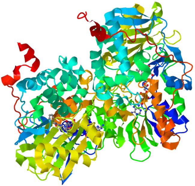 Monoamine oxidase inhibitors : 单胺氧化酶抑制剂